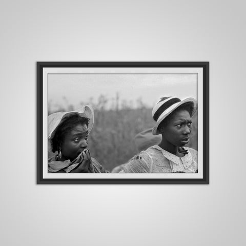 Black African American Vintage Photo - Negro Women - Picking Cotton - Jim Crow Era - Old Photo