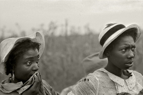 Black African American Vintage Photo - Negro Women - Picking Cotton - Jim Crow Era - Old Photo